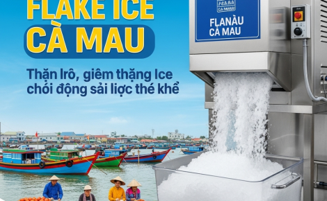 Máy Làm Đá Cà Mau: Giải Pháp Tiết Kiệm và Hiệu Quả Cho Doanh Nghiệp
