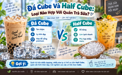 Đá Cube và Half Cube: Loại nào hợp với quán trà sữa?